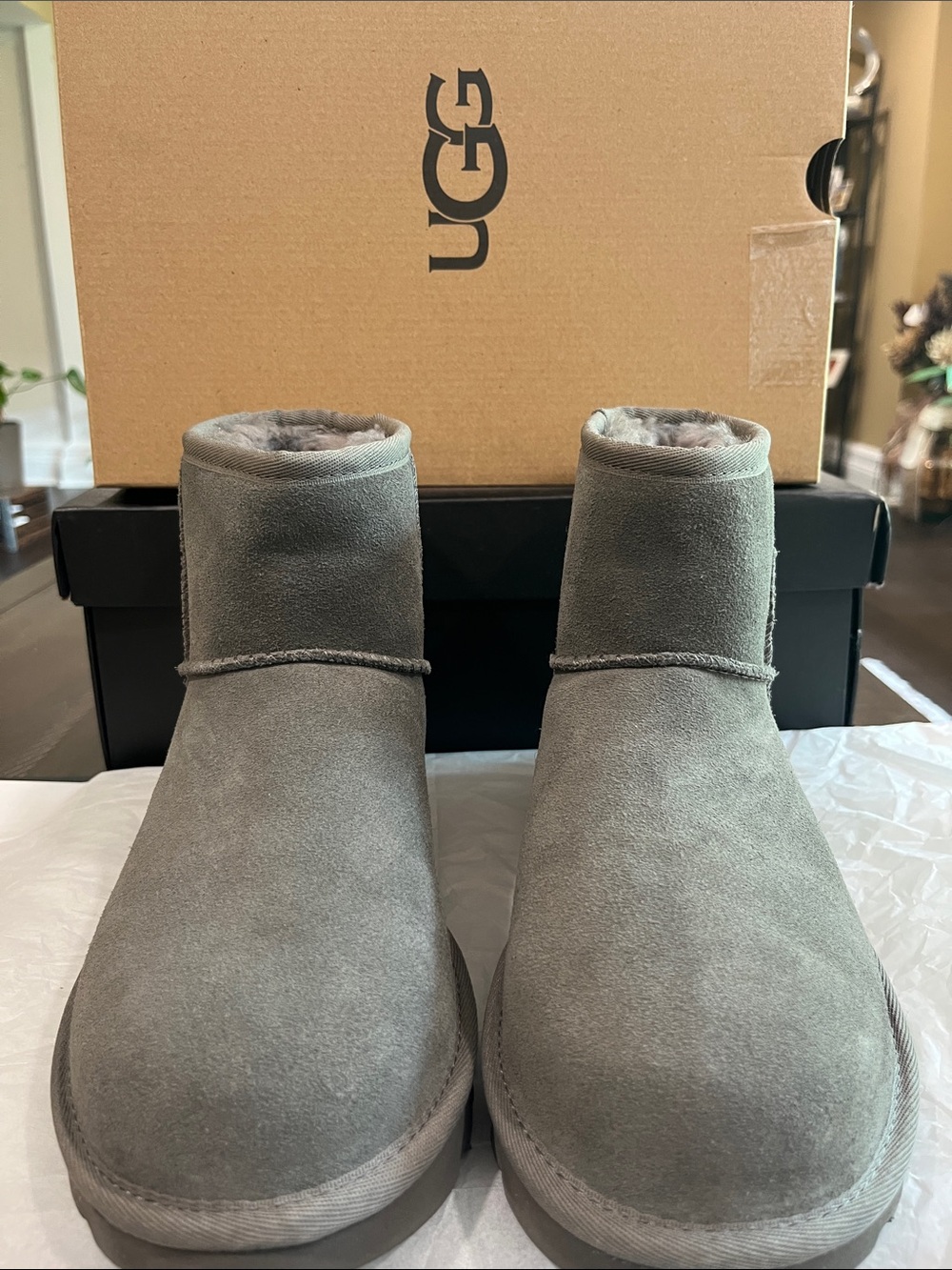 UGG Mini Boot in Grey Suede with Shearling Trim
